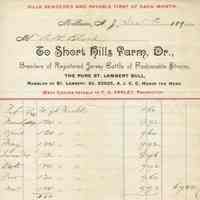          Blood: Short Hills Farm Receipts, 1894-5 picture number 1
   