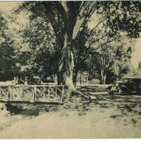 South Mountain Reservation: View at Reservation, Millburn Postcard