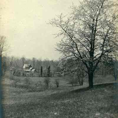 Hartshorn Photo Album 2: On Brantwood
