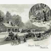          Plate 3
   