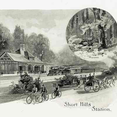 Plate 3