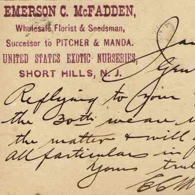 Pitcher and Manda: American Bulb Company Postcard from Emerson McFadden, 1899