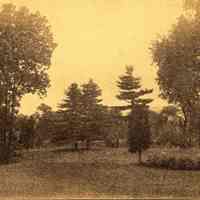 Hartshorn Album 3: View of Clearing with Railroad Tracks and Mountain in Distance