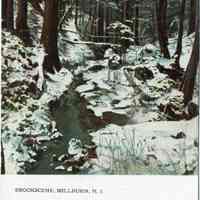 South Mountain Reservation: Brook Scene, Millburn, N.J., 1908