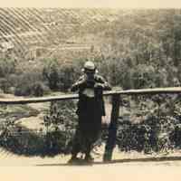 South Mountain Reservation: Violet Brown at Washington Rock, 1918