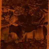          Arboretum: Cora Hartshorn in the Dell at the Arboretum picture number 2
   