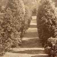 Hartshorn: Walkway at the Rear of the Hartshorn Home