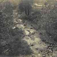 Hartshorn: Cora Hartshorn Photograph of South Mountain Reservation