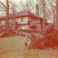          Hurricane: Aftermath, November 24, 1950 picture number 1
   