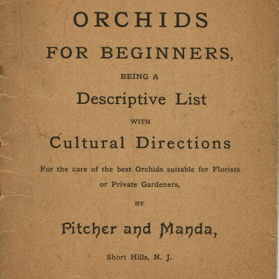 Pitcher and Manda, Orchids For Beginners Pamphlet, 1890