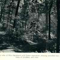          Hartshorn: Paradise in Short Hills Article, 1935 picture number 3
   