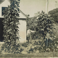 Brison: Horace Brison in Vegetable Garden