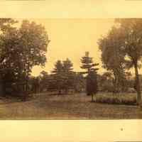          Hartshorn Album 3: View of Clearing with Railroad Tracks and Mountain in Distance picture number 2
   