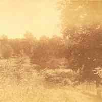 Hartshorn Album 3: Short Hills Landscape in Sunlight