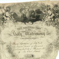 Hartshorn: Stewart Hartshorn & Joanna Randall Marriage Certificate, 1865