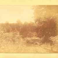          Hartshorn Album 3: Short Hills Landscape in Sunlight picture number 2
   