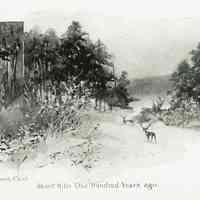          Plate 5
   