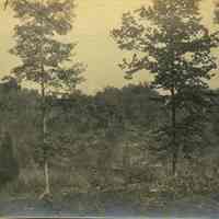 Hartshorn Album 3: Landscape View of Short Hills