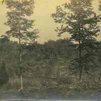          Hartshorn Album 3: Landscape View of Short Hills picture number 1
   