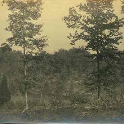 Hartshorn Album 3: Landscape View of Short Hills