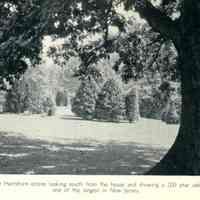          Hartshorn: Paradise in Short Hills Article, 1935 picture number 5
   