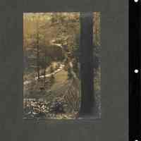          Hartshorn: Cora Hartshorn Photograph from South Mountain Reservation picture number 2
   
