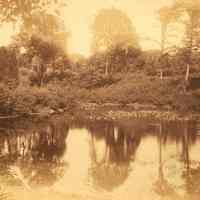 Hartshorn Album 3: Reflections on a Pond in Short Hills