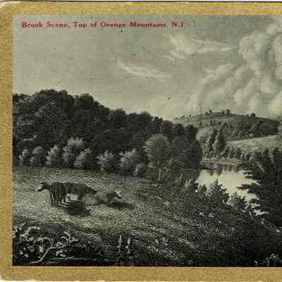 South Mountain Reservation: Brook Scene Top of Orange Mountains, N.J.