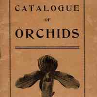 Pitcher & Manda: Orchid Catalog, 1909