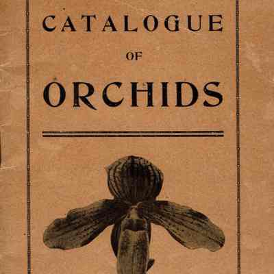 Pitcher & Manda: Orchid Catalog, 1909