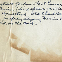          Brison: Horace Brison in Vegetable Garden picture number 2
   