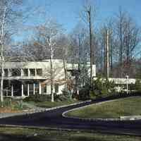 Tall Pine Lane and Pond