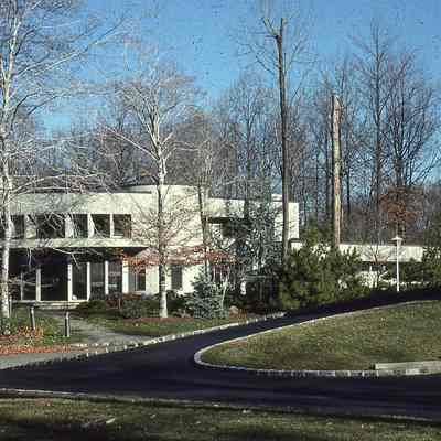 Tall Pine Lane and Pond