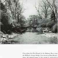          West Branch of the Rahway River from Millburn Avenue Bridge, Taylor Park, 1946
   