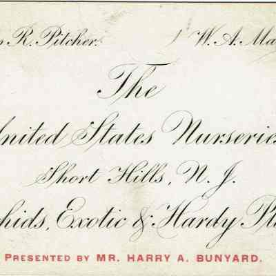 Pitcher and Manda: Business Card
