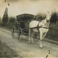 Marshall-Schmidt Photo Album: Margaret Marshall and others in Horse-Drawn Carriage