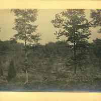          Hartshorn Album 3: Landscape View of Short Hills picture number 2
   
