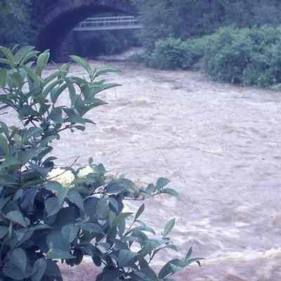 Flood: Flooding Near Dave's Parking Lot, 1968