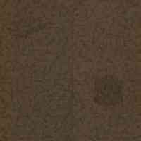          Bosworth: William Mangold picture number 2
   