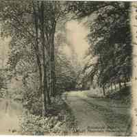          Brookside Drive: Brookside Road, South Mountain Reservation picture number 1
   