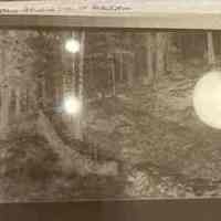          Arboretum: Benne Building Wall of Arboretum picture number 2
   