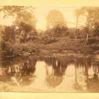          Hartshorn Album 3: Reflections on a Pond in Short Hills picture number 2
   