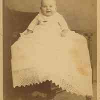          Bosworth: Unidentified Babies in Roshon Studio Photographs, c. 1900 picture number 3
   