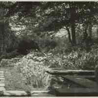          Emery: Dean Emery Garden, 1928 picture number 2
   