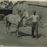 Marshall-Schmidt Album: Man Leading Horse Near Stable