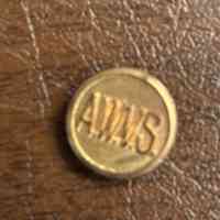 AWVS: American Women