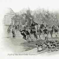          Plate 7
   