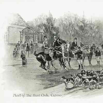 Plate 7