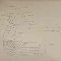 Snow: Drawing of Tumbling Tom, c. 1904