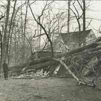 Hurricane: Hurricane Damage to McBride